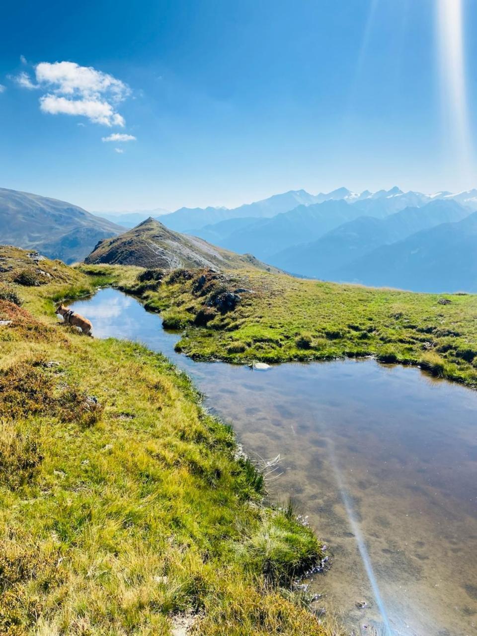 Appartement Mountain & Fun Saalbach-Hinterglemm Ngoại thất bức ảnh