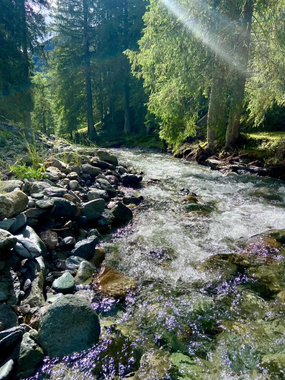 Appartement Mountain & Fun Saalbach-Hinterglemm Ngoại thất bức ảnh